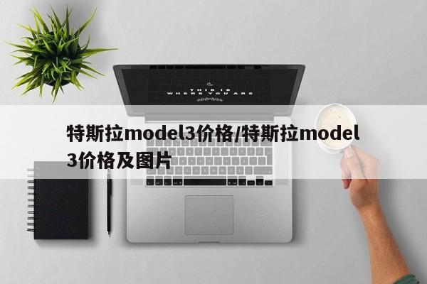 特斯拉model3价格/特斯拉model3价格及图片