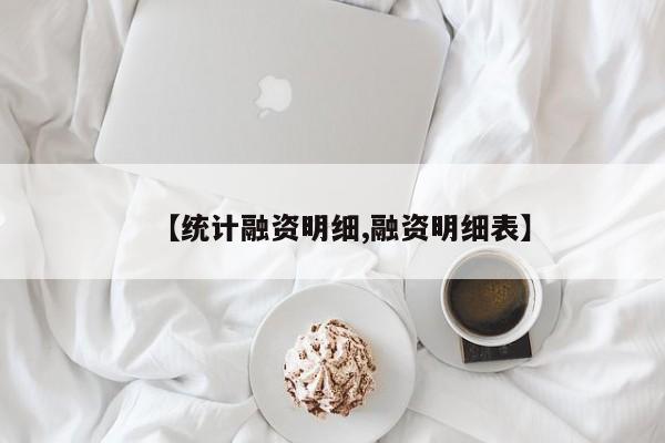 【统计融资明细,融资明细表】