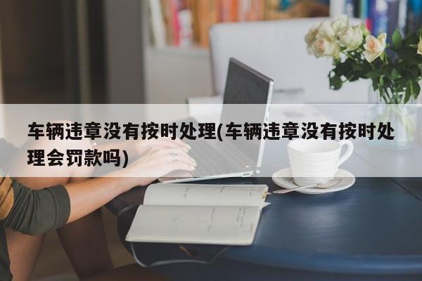 车辆违章没有按时处理(车辆违章没有按时处理会罚款吗)