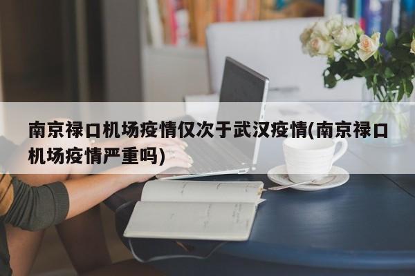 南京禄口机场疫情仅次于武汉疫情(南京禄口机场疫情严重吗)