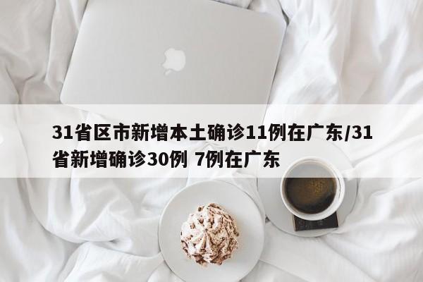 31省区市新增本土确诊11例在广东/31省新增确诊30例 7例在广东