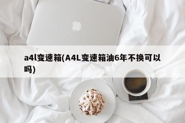 a4l变速箱(A4L变速箱油6年不换可以吗)