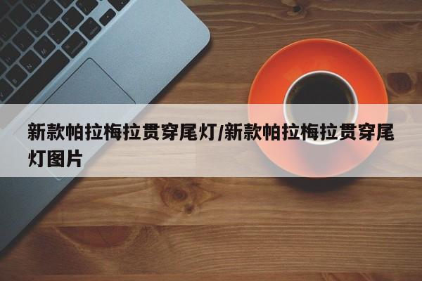 新款帕拉梅拉贯穿尾灯/新款帕拉梅拉贯穿尾灯图片