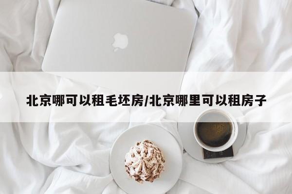 北京哪可以租毛坯房/北京哪里可以租房子