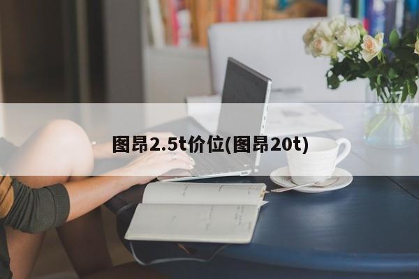 图昂2.5t价位(图昂20t)