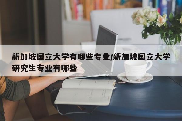 新加坡国立大学有哪些专业/新加坡国立大学研究生专业有哪些