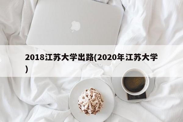 2018江苏大学出路(2020年江苏大学)