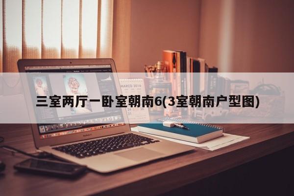 三室两厅一卧室朝南6(3室朝南户型图)