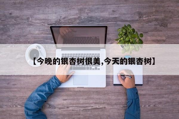 【今晚的银杏树很美,今天的银杏树】