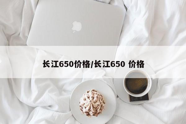 长江650价格/长江650 价格