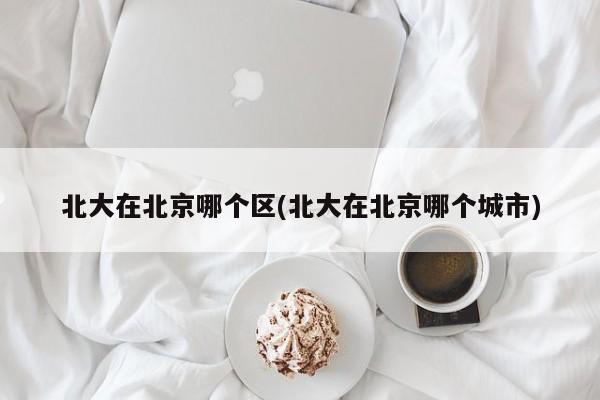 北大在北京哪个区(北大在北京哪个城市)