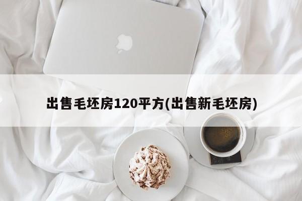 出售毛坯房120平方(出售新毛坯房)