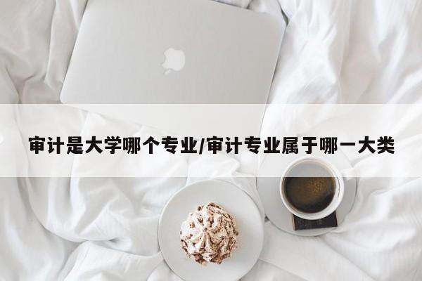 审计是大学哪个专业/审计专业属于哪一大类