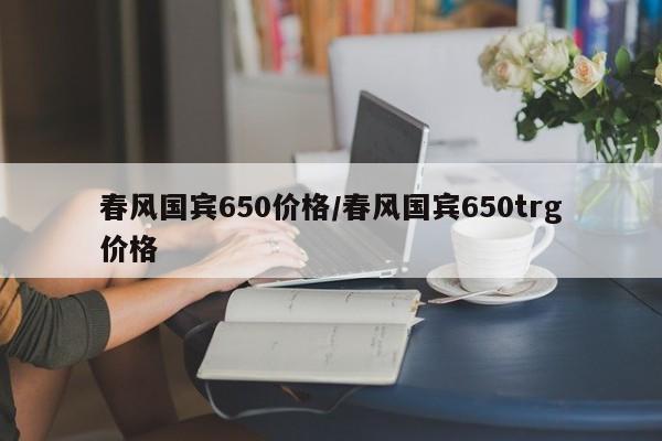 春风国宾650价格/春风国宾650trg价格
