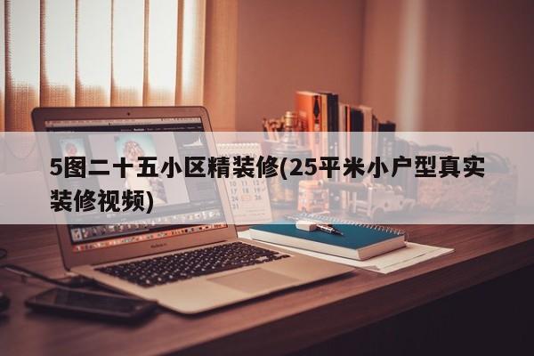 5图二十五小区精装修(25平米小户型真实装修视频)