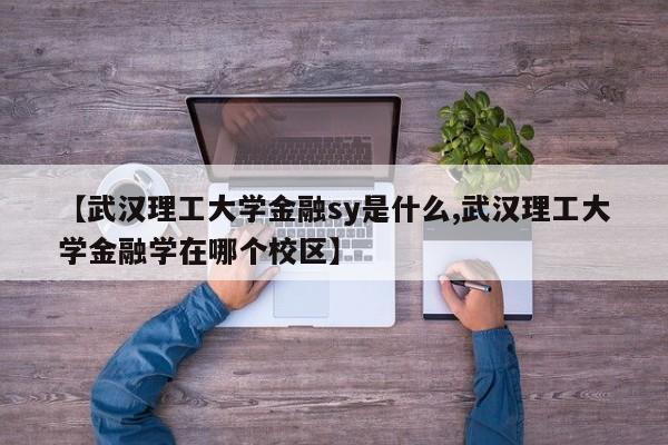 【武汉理工大学金融sy是什么,武汉理工大学金融学在哪个校区】